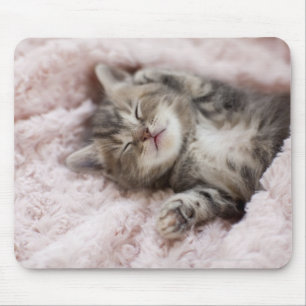 Kitten Sleeping on Towel Mouse Pad