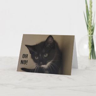 KITTEN SO HAPPY TO SAY "HAPPY 21st BIRTHDAY" Card