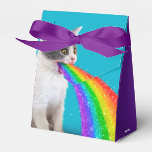 Kitten Spits Up Rainbow Favour Box
