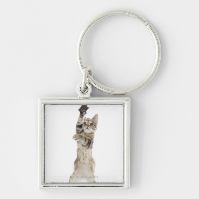 Kitten standing on back paws key ring (Front)