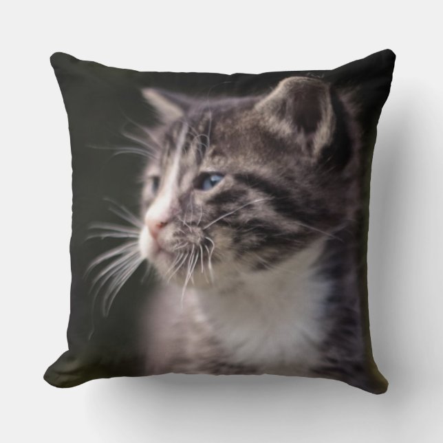 Kitten Standing Tall Cushion (Front)