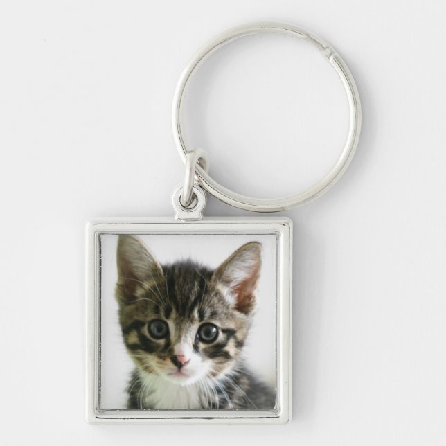Kitten Stare Key Ring (Front)