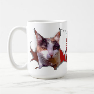 Kitten sticking her head out, ready for Christmas? Coffee Mug