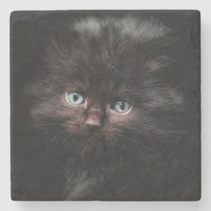 Kitten Stone Coaster