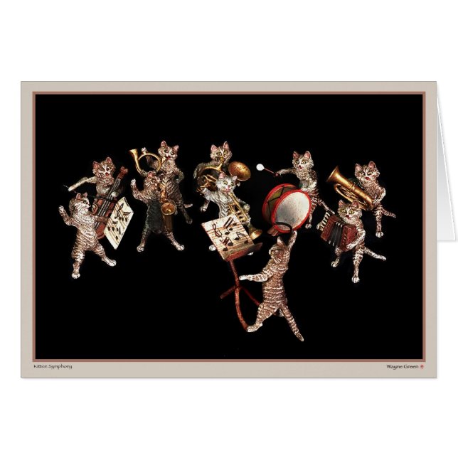 Kitten Symphony (Front Horizontal)