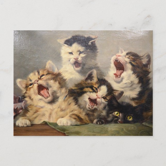 Kitten Symphony by Julius Adam II Postcard (Front)