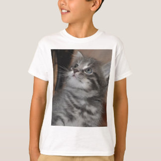 Kitten T-Shirt