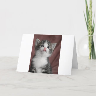 Kitten Thank You Card