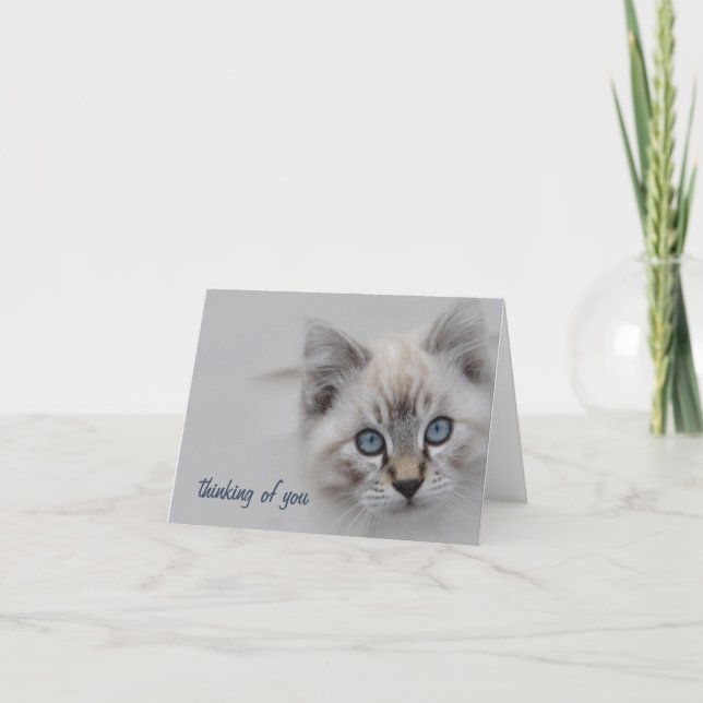 Kitten Thinking of You Card - Customisable (Front)