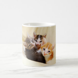 Kitten Trio Mug
