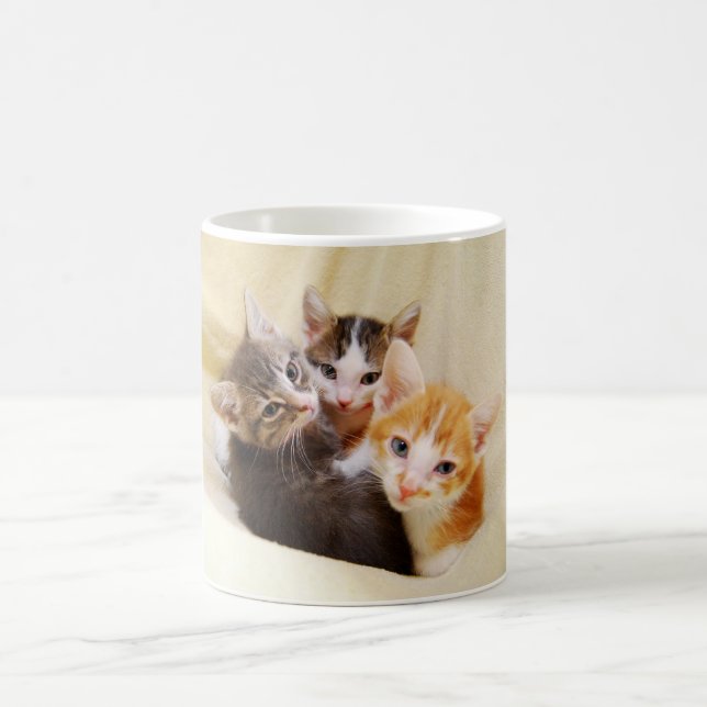 Kitten Trio Mug (Center)
