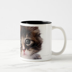 Kitten Two-Tone Coffee Mug
