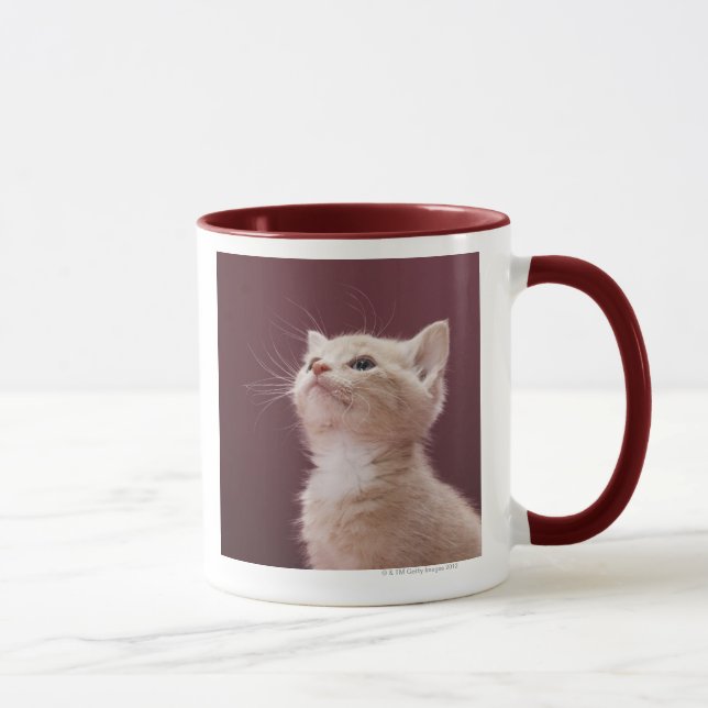 Kitten Whiskers Mug (Right)