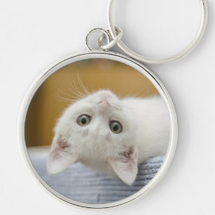 Kitten, White, Cat Key Ring