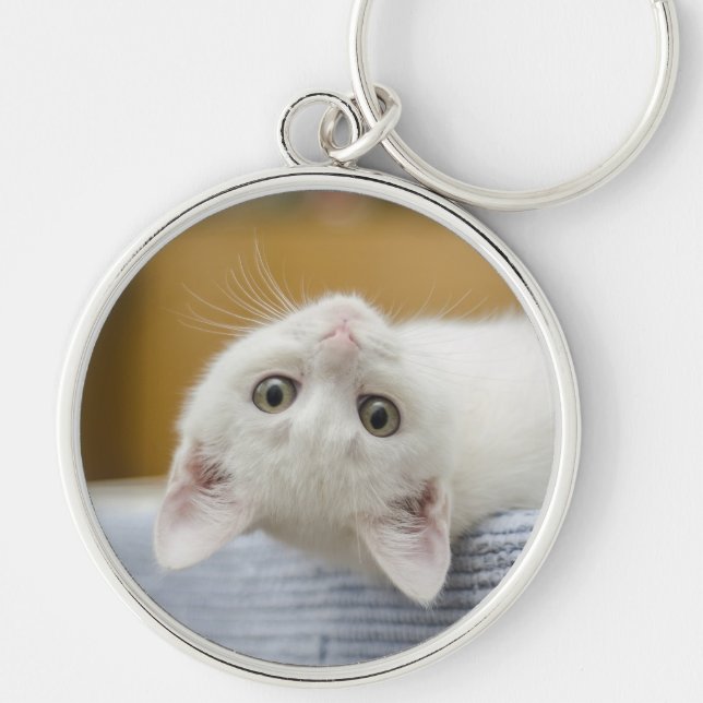 Kitten, White, Cat Key Ring (Front)