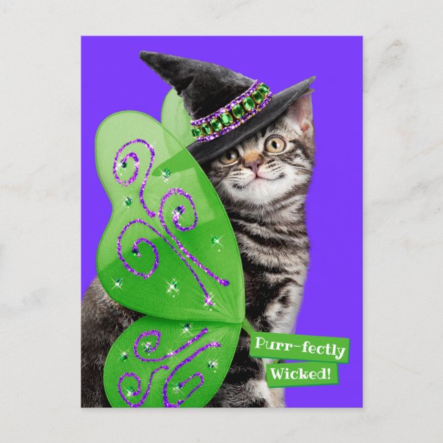 Kitten Witch Fairy Invitation Postcard (Front)