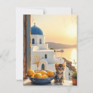 Kitten with a view of sunset postcard