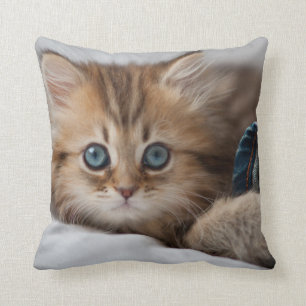 Kitten With Blue Eyes Cushion