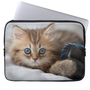 Kitten With Blue Eyes Laptop Sleeve