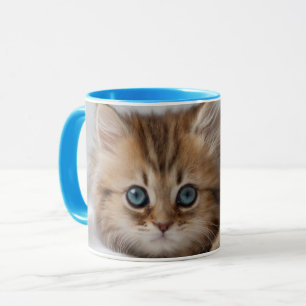 Kitten With Blue Eyes Mug