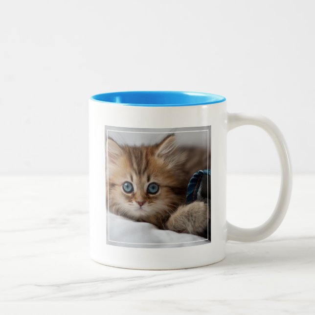 Kitten With Blue Eyes Two-Tone Coffee Mug (Right)