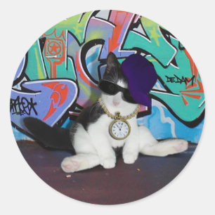 Kitten With Cat Attitude  Classic Round Sticker