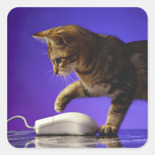 Kitten with computer mouse square sticker