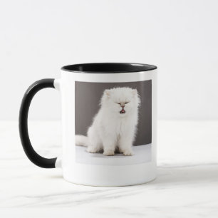 Kitten with Eyes Closed Mug