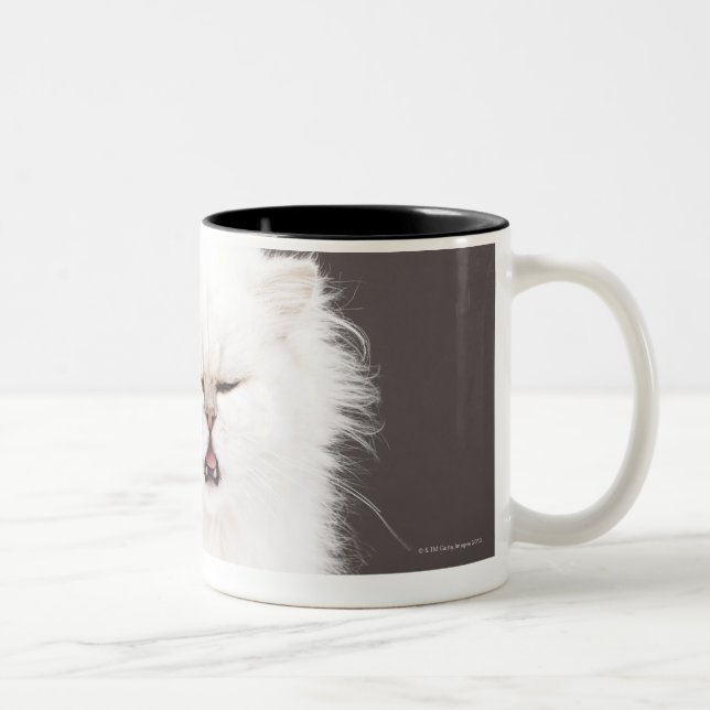 Kitten with Eyes Closed Two-Tone Coffee Mug (Right)