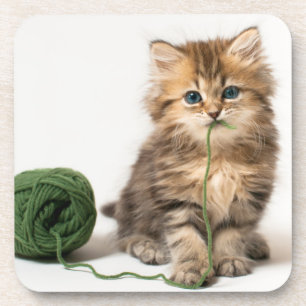Kitten With Green Yarn Coaster