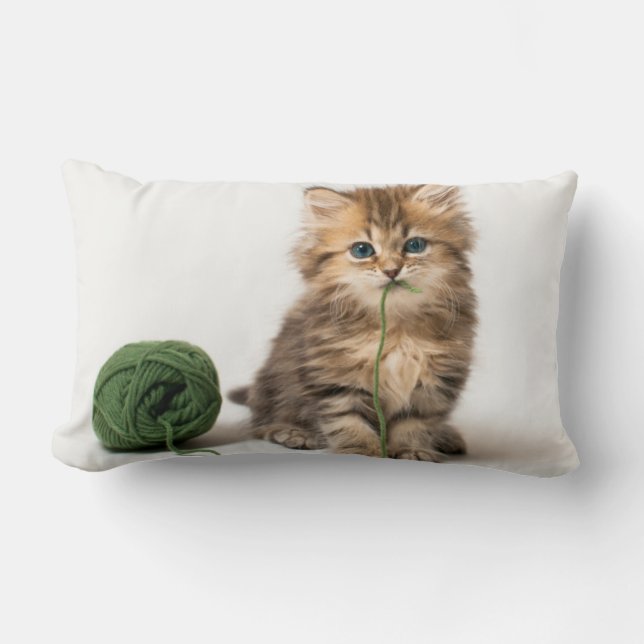 Kitten With Green Yarn Lumbar Cushion (Front)