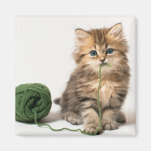 Kitten With Green Yarn Magnet