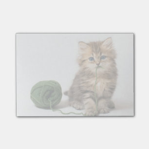 Kitten With Green Yarn Post-it Notes