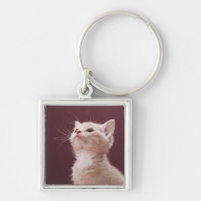 Kitten with Whiskers Key Ring (Front)