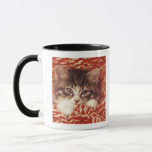 Kitten wrapped in woollen blanket, close-up mug