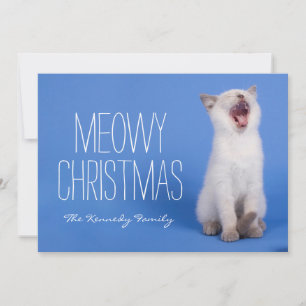 Kitten yawning holiday card
