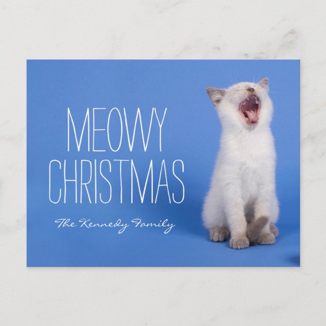 Kitten yawning holiday postcard (Front)