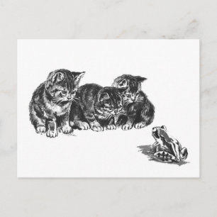 Kittens and a toad by Ernest Nister - vintage cat  Postcard