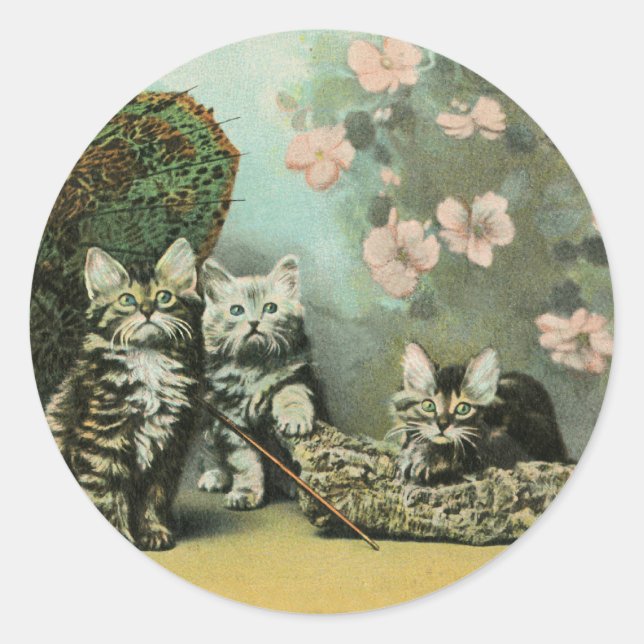 Kittens and Blossoms Classic Round Sticker (Front)