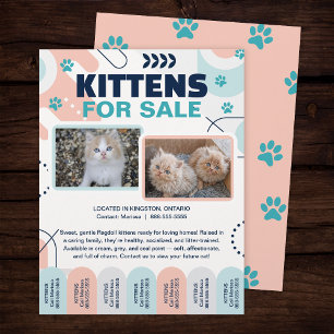Kittens and Cats For Sale Tear Offs Flyer Template