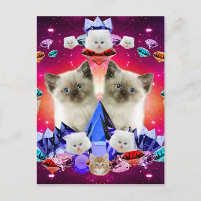 Kittens and Diamonds Postcard (Front)