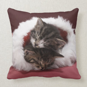 Kittens asleep together in Christmas hat Cushion