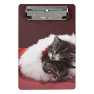 Kittens asleep together in Christmas hat Mini Clipboard