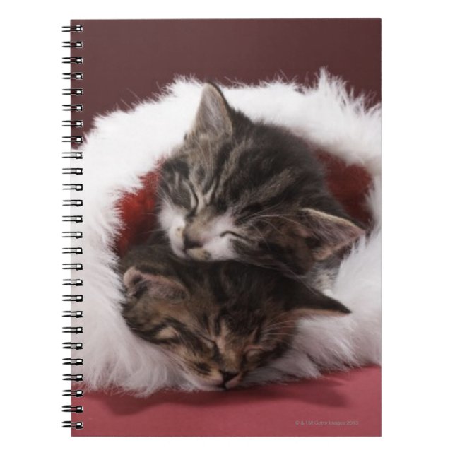 Kittens asleep together in Christmas hat Notebook (Front)