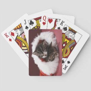 Kittens asleep together in Christmas hat Playing Cards