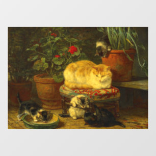 Kittens at Play