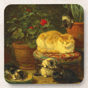 Kittens at Play Coaster