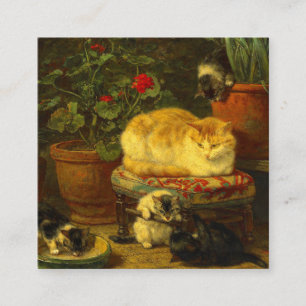 Kittens at Play Enclosure Card