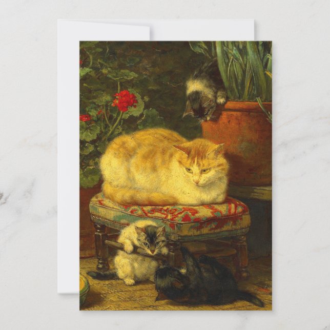 Kittens at Play Invitation (Front)
