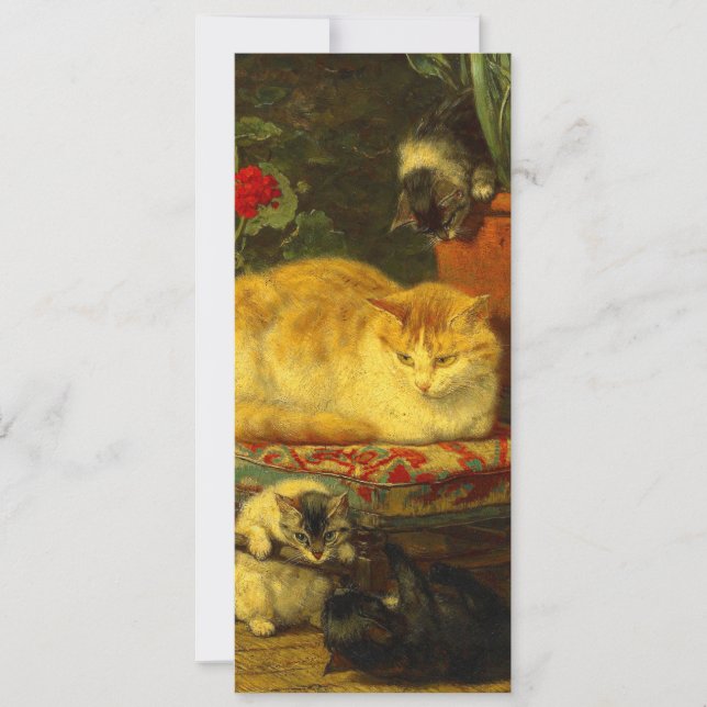 Kittens at Play Invitation (Front)